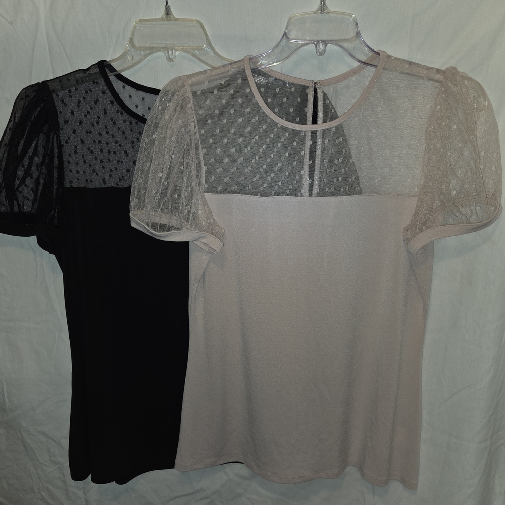 Elegant Sheer Sleeve Tops - Black and Cream